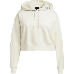 Ivy Park Ivytopia hoodie- size xs. BN in plastic. Ordered 2-oops NSPF home